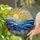Radiant Sun Ocean Seascape Marine Life, Coral & Starfish - Jewel Tone Window Art Decor Stained Glass Suncatcher - 1