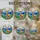 Stained Glass Majestic Stag Forest Mountain Scene - Jewel Tone Pine Trees Undergrowth Stained Glass Suncatcher - 4