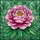 Full-Bloom Peony Stained Glass Art - Tiffany Style Intricate Botanical Mosaic Decor Stained Glass Suncatcher - 5