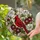 Brilliant Red Cardinal Stained Glass with Flowers & Wood Grain Mosaic Background Stained Glass Suncatcher - 1