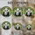 Panda Family Stained Glass Tiffany Style - Vibrant Flowers Bamboo Forest Mosaic Art Stained Glass Suncatcher - 4