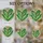 Lily of the Valley Stained Glass Flower - Dappled Forest Mosaic Tiffany Style Art Stained Glass Suncatcher - 4