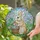 Chubby Rabbit Easter Eggs Spring Garden Mosaic Tiffany Glass Art Easter Holiday Decor Stained Glass Suncatcher - 1