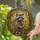 Raccoon Stained Glass Mosaic Forest Foliage - Tiffany Style Jewel Tone Window Decor Stained Glass Suncatcher - 1