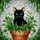 Black Cat Green Eyes Plant Pot Stained Glass - Rustic Terracotta & Iridescent Mosaic Stained Glass Suncatcher - 5