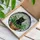 Black Cat Green Eyes Plant Pot Stained Glass - Rustic Terracotta & Iridescent Mosaic Stained Glass Suncatcher - 3