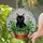 Black Cat Green Eyes Plant Pot Stained Glass - Rustic Terracotta & Iridescent Mosaic Stained Glass Suncatcher - 1