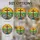 Highly Detailed Tiffany Style Stained Glass Wooden Cross Wildflower Hills Sunrise Sunset Jewel Tones Stained Glass Suncatcher - 4