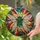 Cicada Stained Glass Tiffany Jewel Tones - Red Eyes Translucent Wings Organic Mosaic Patterns Stained Glass Suncatcher - 1