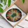 Cicada Stained Glass Tiffany Jewel Tones - Red Eyes Translucent Wings Organic Mosaic Patterns Stained Glass Suncatcher - 3