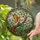 Stained Glass Fairy Reading Book on Tree Branch with Butterfly Wings - Tiffany Jewel Tones Stained Glass Suncatcher - 1