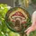 Mushroom House Bookshelf Stained Glass Style Toadstool Forest Dappled Light Scene Stained Glass Suncatcher - 2