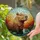 Capybara Stained Glass Tiffany Art - Aquatic Foliage Mosaic Pattern Translucent Jewel Tones Stained Glass Suncatcher - 2