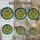 Intricate Succulent Rosette Stained Glass Mosaic – Tiffany Style Home Decor Gift Stained Glass Suncatcher - 4