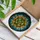 Intricate Succulent Rosette Stained Glass Mosaic – Tiffany Style Home Decor Gift Stained Glass Suncatcher - 3