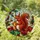 Red Squirrel Pumpkin Autumn Leaves Stained Glass Tiffany Style Art Home Decor Gift Stained Glass Suncatcher - 1