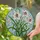 Translucent Three White Lily Flowers Red Stamens Tiffany Stained Glass Mosaic Sky Decor Stained Glass Suncatcher - 2