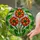 Dahlia Flowers Stained Glass Mosaic Window Art - Glowing Jewel Tones Home Decor Gift Stained Glass Suncatcher - 2