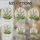 White Ornamental Grass Wheat Stalks Stained Glass Mosaic Art - Botanical Nature Decor Stained Glass Suncatcher - 4