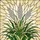 White Ornamental Grass Wheat Stalks Stained Glass Mosaic Art - Botanical Nature Decor Stained Glass Suncatcher - 5