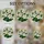 Three White Lilies Stained Glass Floral Mosaic Art - Tiffany Style Green Yellow Red Bloom Stained Glass Suncatcher - 4