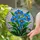 Blue Poppy Stained Glass Floral Art - Tiffany Mosaic Bouquet with Dappled Light Effect Stained Glass Suncatcher - 2