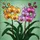 Tiffany Style Stained Glass Blooming Orchid Flowers, Golden Yellow Fuchsia Colorful Intricate Art Stained Glass Suncatcher - 5