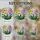 Tiffany Style Stained Glass Blooming Orchid Flowers, Golden Yellow Fuchsia Colorful Intricate Art Stained Glass Suncatcher - 4