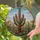 Saguaro Cactus Barrel Cacti Desert Landscape Jewel Tone Tiffany Style Stained Glass Art Stained Glass Suncatcher - 2