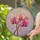 Stained Glass Orchid Flower Mosaic Art - Tiffany Style Window Decor for Orchid Lover Stained Glass Suncatcher - 2