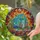 Stained Glass Greenhouse Mosaic Potted Plants Autumn Foliage Tiffany Jewel Tones Garden Decor Stained Glass Suncatcher - 2