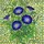Morning Glory Flowers Tiffany Style Stained Glass - Intricate Mosaic Art with Vines & Buds Stained Glass Suncatcher - 5