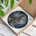 Majestic Detailed Stained Glass Sitting Wolf Tiffany Style Winter Forest Wildlife Art Stained Glass Suncatcher - 3