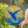 Majestic Blue Whale Breaching Ocean Waves Sunrise - Tiffany Glass Style Marine Life Art Stained Glass Suncatcher - 2