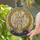 Lady Justice Stained Glass Jewel Tone Filigree Art - Sunburst Mosaic Purple Flowers Stained Glass Suncatcher - 2