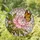 Pink Peony Monarch Butterfly Tiffany Stained Glass Art - Nature Lover Home Decor Gift Stained Glass Suncatcher - 1