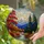Tiffany Style Stained Glass Mountain Sunrise Autumn River Forest Scenery Window Decor Stained Glass Suncatcher - 2