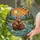 Tiffany Beavers Water Lilies Setting Sun - Jewel Tone Forest Mountain Wildlife Art Stained Glass Suncatcher - 2