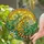 Vibrant Leopard Gecko Daisy Flowers Stained Glass Mosaic - Tiffany Jewel Tones Art Decor Stained Glass Suncatcher - 2