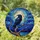 Stained Glass Raven & Full Moon Night Sky - Dark Tree Branch Red Eye Art Tiffany Stained Glass Suncatcher - 1