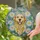 Smiling Golden Retriever Dog Tiffany Style Stained Glass Daisies Jewel Tone Floral Mosaic Stained Glass Suncatcher - 2