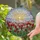 Blooming Red Pink Tulips Field Green Leaves Tiffany Stained Glass - Sun Hills Sky Mosaic Art Stained Glass Suncatcher - 2
