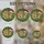 Gingerbread 6 & 7 Numbers Stained Glass, Santa Hat, Pine Fairy Lights - Brian 2025 Gift Stained Glass Suncatcher - 4