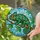 Chameleon Stained Glass Art - Tiffany Style Tree Branch Mosaic Sky Jewel Tones Design Stained Glass Suncatcher - 2