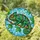 Chameleon Stained Glass Art - Tiffany Style Tree Branch Mosaic Sky Jewel Tones Design Stained Glass Suncatcher - 1