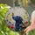 Black Dog Monarch Butterfly Wildflower Detailed Stained Glass Tiffany Art Home Decor Gift Stained Glass Suncatcher - 2