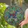 Tiffany Stained Glass Miniature Schnauzer Dog - Floral Mosaic Jewel Tone Pet Lover Gift Stained Glass Suncatcher - 2