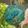 Blue Teal Iguana Lizard Spiked Reptile Tiffany Glass Jewel Tones Jungle Flora Gift Stained Glass Suncatcher - 2