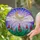 Golden Mosaic Crescent Moon Stained Glass - Fluffy Clouds Night Sky Flowers Leaves Art Stained Glass Suncatcher - 2