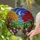 Night Landscape Stained Glass Art with Autumn Trees, Crescent Moon, Cobblestone Path & Flowers Stained Glass Suncatcher - 2